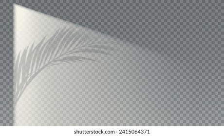 Silhouette of window on checkered background. Shadow of palm leaf on studio wall.