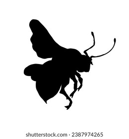 Silhouette of winged insect honey bee.Vector graphics.