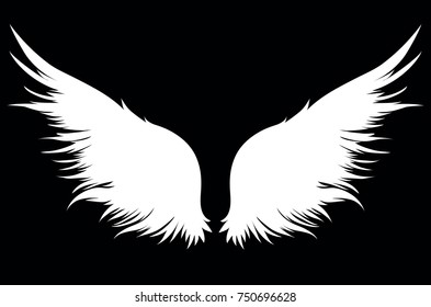 Silhouette wings. Vector illustration on white background. Black and white style.