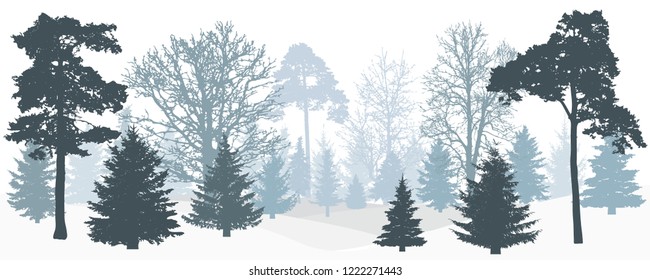 Silhouette of winter forest, panorama. Vector illustration.