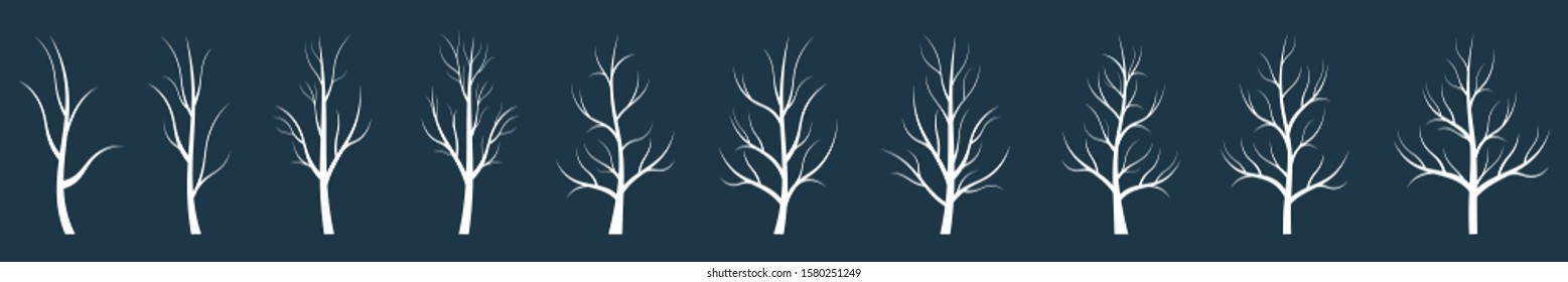 Silhouette winter naked tree without leaves.