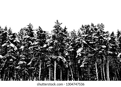 Silhouette of a winter pine forest. Monochrome background of coniferous snow-covered trees. Overlay pattern. Vector illustration