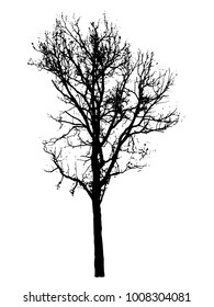 Silhouette of winter tree without leaves on plain white background isolated clip art vector illustration