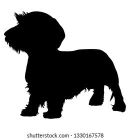 The silhouette of a Wirehaired Dachshund. Vector illustration