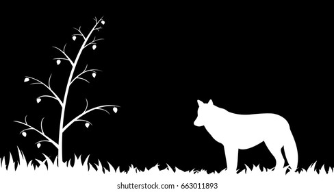 Silhouette of wolf in the grass.