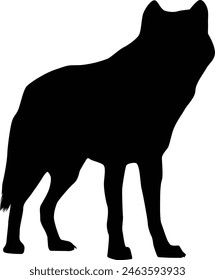 Silhouette of a wolf isolated on white. Illustration of wolf animal in wildlife