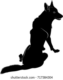 silhouette of wolf isolated on white background