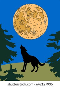 silhouette of wolf at night