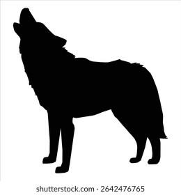Silhueta de um lobo no branco