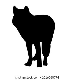 silhouette wolf on white background