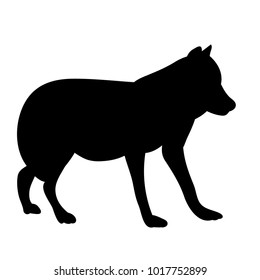 silhouette wolf on white background