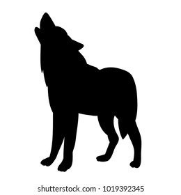  silhouette wolf on white background