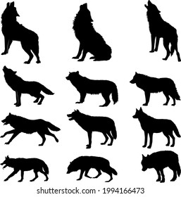 Silhouette of a wolf vector illustration isolated on white background