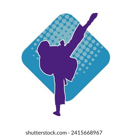 Silhouette of a woman doing a martial art kick. Silhouette of a sporty female doing kicking movement.