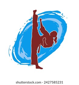 Silhouette of a woman doing a martial art kick. Silhouette of a sporty female doing kicking movement.
