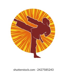 Silhouette of a woman doing a martial art kick. Silhouette of a sporty female doing kicking movement.
