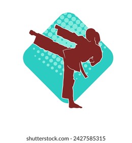 Silhouette of a woman doing a martial art kick. Silhouette of a sporty female doing kicking movement.
