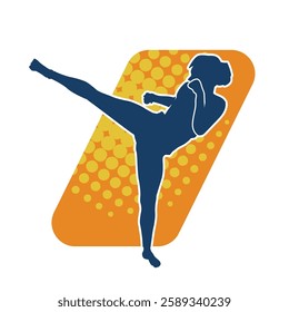 Silhouette of a woman doing a martial art kick. Silhouette of a sporty female doing kicking movement.