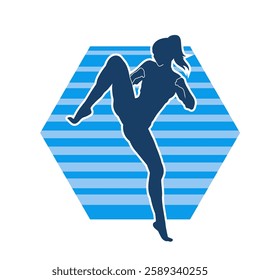 Silhouette of a woman doing a martial art kick. Silhouette of a sporty female doing kicking movement.