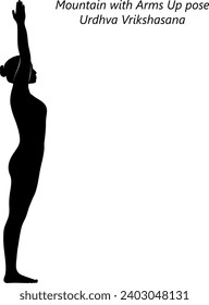 Silhouette de una mujer haciendo yoga Urdhva Vrikshasana. Montaña con brazos hacia arriba o posición de árbol hacia arriba. Ilustración vectorial aislada.