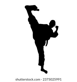 Silhouette of a woman kicking pose. Silhouette of a female martial art in action pose.