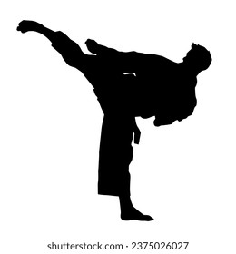 Silhouette of a woman kicking pose. Silhouette of a female martial art in action pose.