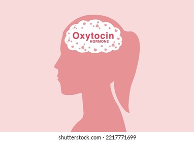 Mujer de silueta con oxitocina y hormona cardíaca dentro del cerebro. Ilustración sobre químicos del amor, el sentimiento, la psicología y la emoción de los seres humanos.