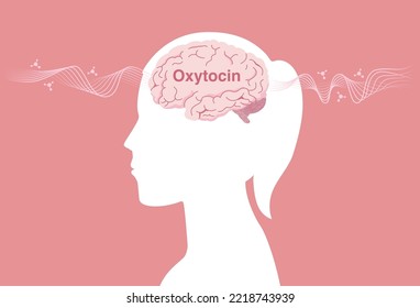 Silhouette Woman With Oxytocin And Heart Hormone Inside The Brain. Illustration About Chemicals Of Human Affect Love, Feeling, Psychology And Emotion.