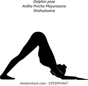 Silhouette of woman practicing Ardha Pincha Mayurasana yoga pose. Dolphin pose or Turbo Dog pose. Shishulasana. Isolated vector illustration