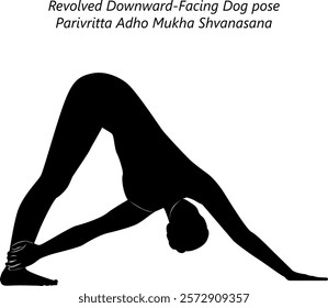 Silhouette of woman practicing Parivritta Adho Mukha Shvanasana yoga pose. Revolved Downward Facing Dog pose. Isolated vector illustration