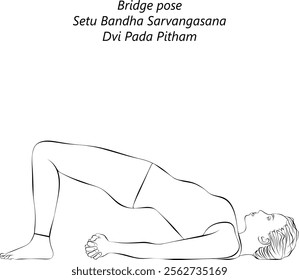 Silhouette of woman practicing Setu Bandha Sarvangasana yoga pose. Dvi Pada Pitham pose. Bridge pose. Isolated vector illustration