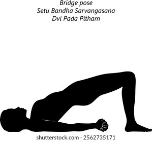 Silhouette of woman practicing Setu Bandha Sarvangasana yoga pose. Dvi Pada Pitham pose. Bridge pose. Isolated vector illustration