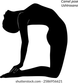 Silhouette of woman practicing Ushtrasana yoga pose. Camel pose. Isolated vector illustration