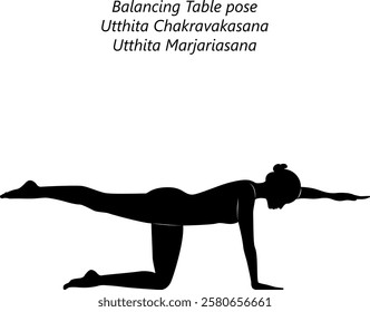 Silhouette of woman practicing Utthita Chakravakasana yoga pose. Balancing Table pose or Ruddy Goose pose. Isolated vector illustration