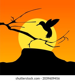 silhouette of woodpecker flying on tree branch at sunset