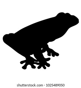 silhouette woody frog is red-eyed  vector illustration