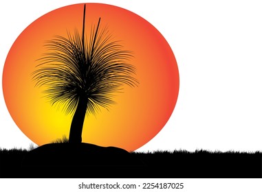 Silhouette de xanthorrhoea o árbol de niños negros al atardecer. Ilustración vectorial.