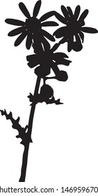 Silhouette of a yakub godson flower. Astrovye family. Close-up. Poisonous plant. Spring Flower. Burian. Medicinal herb. Wild flower. Isolated vector illustration. Black on white.