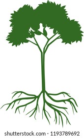 Silhouette of young deciduous tree with green crown and root system on white background