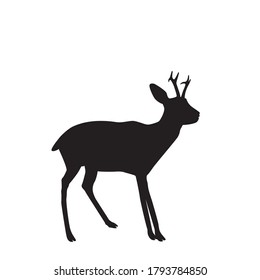 The silhouette of a young forest deer with small growing horns. vector illustration. EPS10