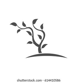 Silhouette of a young tree.