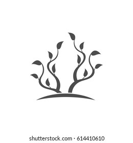 Silhouette of a young tree.