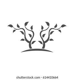 Silhouette of a young tree.