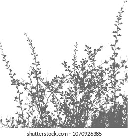 Silhouette de un árbol joven. Ramas con riñones y hojas nuevas. Ilustración vectorial aislada.