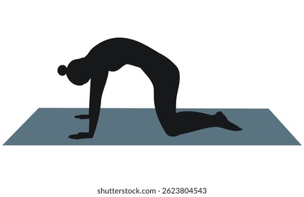 Silhouette. A young woman doing yoga on a mat. Healthy lifestyle.