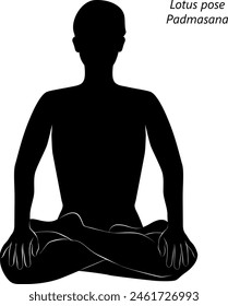 Silhouette of young woman practicing Padmasana yoga pose.Lotus pose. Intermediate Difficulty. Isolated vector illustration