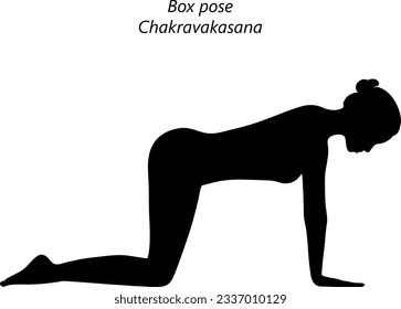 Silhouette of young woman practicing yoga, doing Box pose or Table pose or Ruddy Goose position. Chakravakasana. Arm Leg Support and Neutral. Beginner.  Isolated vector illustration.