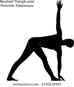 Silhouette of young woman practicing yoga, doing Revolved Triangle pose. Parivritta Trikonasana. Standing and Twist. Intermediate. Isolated vector illustration.