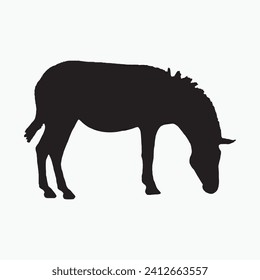 Silhouette of a zebra. Black zebra silhouette on white background