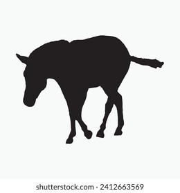 Silhouette of a zebra. Black zebra silhouette on white background